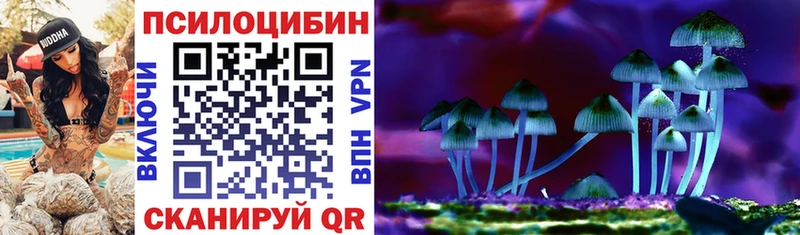 мега   Россошь  Псилоцибиновые грибы Magic Shrooms  как найти закладки 