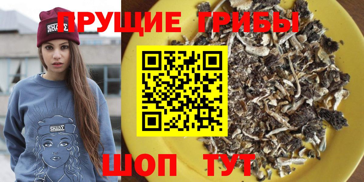 Россошь  Псилоцибиновые грибы GOLDEN TEACHER  Вход с VPN 