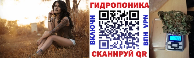 где купить наркоту  Россошь  Марихуана ГИДРОПОН 